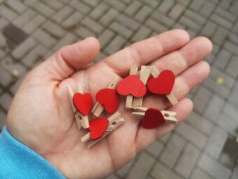 Svatební dekorace, dekorace na svatbu - 19