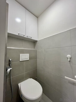 Pronájem bytu 4+kk, Mládeže, Hrabůvka, 29900 Kč/měs, 91 m2 - 19