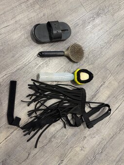 Kentucky, Lemieux, Zandona atd - 19