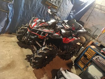 ALU kola ITP cryptid R14 - 19