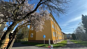 Prodej bytu 2+1, 57 m2 - Mariánské Lázně, ev.č. 58547 - 19