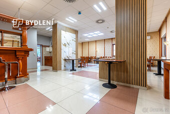 Pronájem vybavené restaurace s terasou - 19