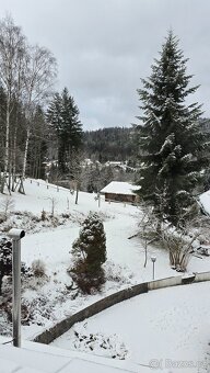 Penzion s restaurací – Bayerisch Eisenstein (4 km od Železné - 19