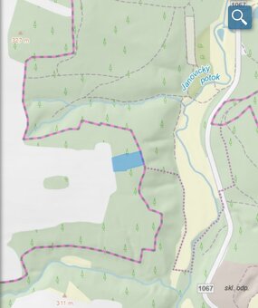 Lesní pozemek Chářovice - 19