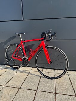 Silniční kolo Specialized Tarmac Carbon - 19
