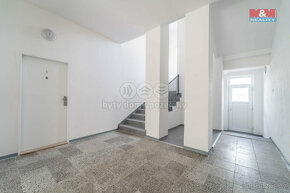 Prodej bytu 3+kk, 75 m², Chomutice - 19