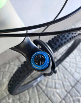 Horské kolo Canyon Strive CF 7.0 Carbon 2021 29″ - 19