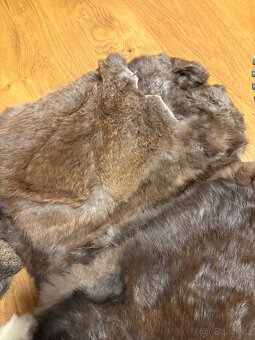 Králičí kůže a kůže z nitrií - 19