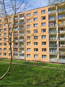 Byt 1+1 (2kk) 36m2 Desná - 19