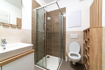 Pronájem novostavby 2+kk s balkonem a parkovacím místem, Zbů - 19