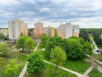Prodej bytu 3+1 Pardubice - Studánka - 19