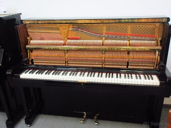 Steinway and Sons dovoz celá ČR - 19