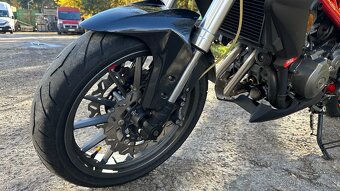 Benelli BN302 r.v. 2016 - 19