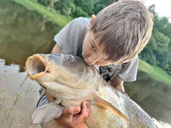 Prodej chata Orlík - 19