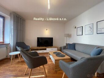 Pronájem bytu 2+1 s balkonem na Klíši v ul. Slavíčkova v Úst - 19