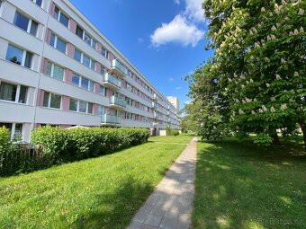Prodej bytu 3+1, 68 m2/L, Hradec Králové - ul. Na Kotli. - 19