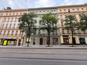 Pronájem bytu 3+kk, Praha 2  Vinohrady - 19