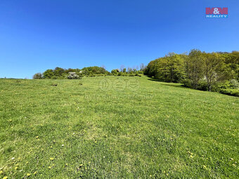 Prodej louky, 21830 m², Malšovice - Hliněná - 19