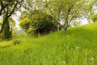 Prodej, chata 14m2, zahrada 588m2, Děčín - VI Letná - 19