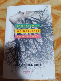 Prodám více knih - 19