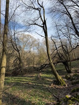 Prodám pozemky v katastrálním území Louňovice pod Blaníkem - 19