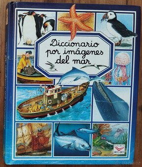 Šj-Čj slovník - zcela nová kniha - 19