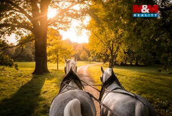 Prodej rodinného domu, 200 m2, Kladruby nad Labem, Kolesa - 19