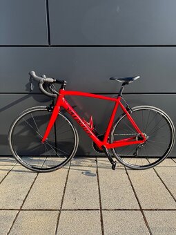 Silniční kolo Specialized Tarmac - 19