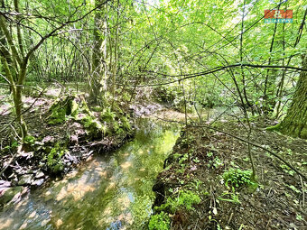 Prodej vodní plochy, 3255 m², Skalice u České Lípy - 19