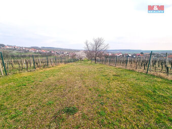 Prodej ovocného sadu, 4096 m², Starý Poddvorov - 19