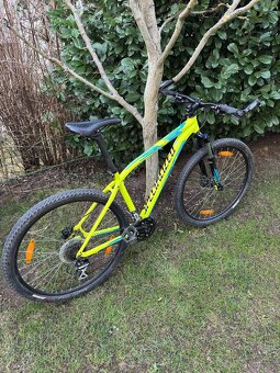 Horské kolo Specialized M/17.5 - 19