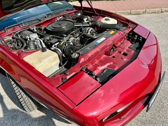 Pontiac Firebird 1991 5.0 V8 - 19