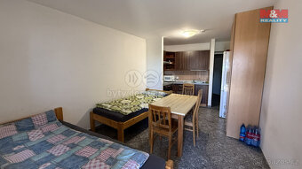 Prodej rodinného domu, 2546 m², Žíšov - 19