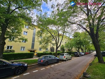 Prodej bytu 2+1 - 19
