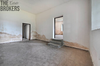 Rodinný dům Zásmuky - Vršice, pozemek 42 000 m2 - 19