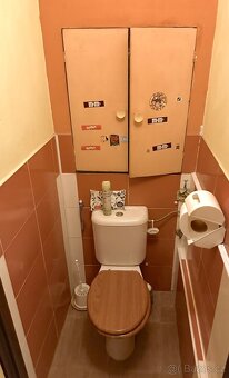 Prodej 2+1, Ostrava - Hrabůvka, ul. Fr. Hajdy, lodžie, 52 m2 - 19