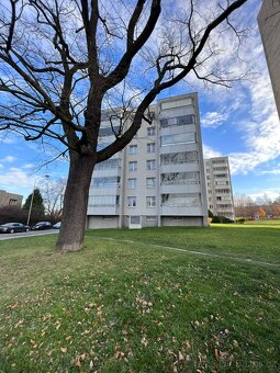 Pronájem bytu v Orlové, ul. U Kapličky - 19