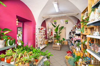 Prodej, rodinný dům, komerční prostory, Trhové Sviny, okr. Č - 19