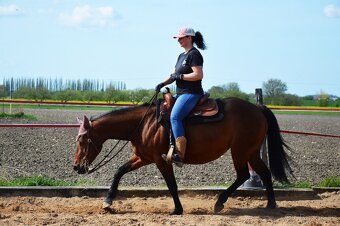 Hřebečci,Valášek American Paint Horse - 19