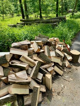 Prodej palivového dřeva - 19