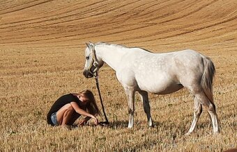 Welsh pony kobylka - 19