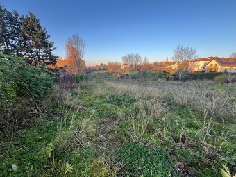 Prodej, pozemek 4200m2 - 19