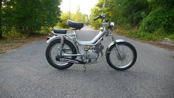 MALAGUTI FIFTY 50  TOP STAV  VETERAN - 19
