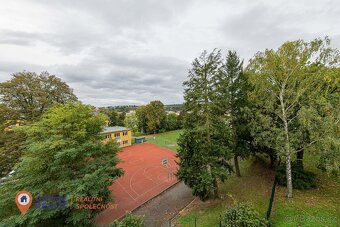 Pronájem, byt 2+1, 55 m2, Zábřeh - 19