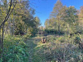 Prodám st. parcelu 2012 m2 ve Vydří u JH - 19