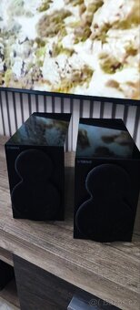 Receiver plus repro - 19