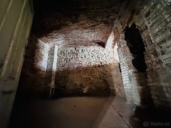 Dům 320m2, pozemek 950 m2 - 19