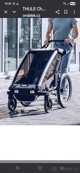 Thule chariot lite1 agave - 19