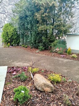 Prodej bytu 3kk 112 m2, zahrada - 19