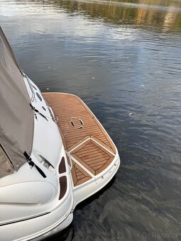 Sea Ray 280/315 - 19